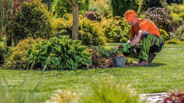 Paysagiste polyvalent à Munster