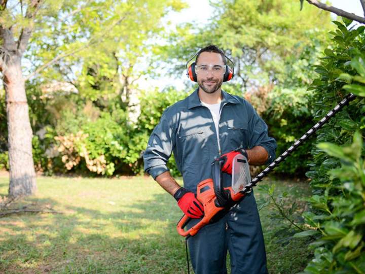 Paysagistes qualifiés à Munster