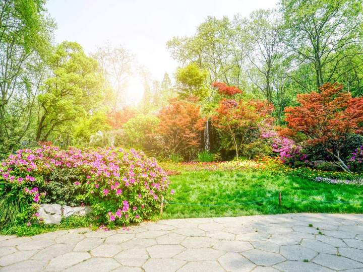 Jardin écologique à Munster