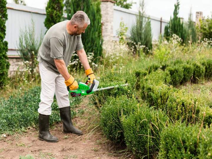 Travaux d'entretien de jardins à Munster