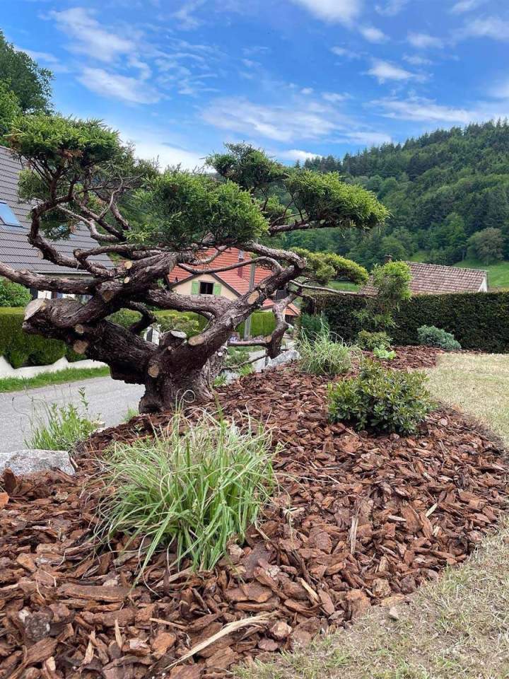 Entretien de jardins à Munster