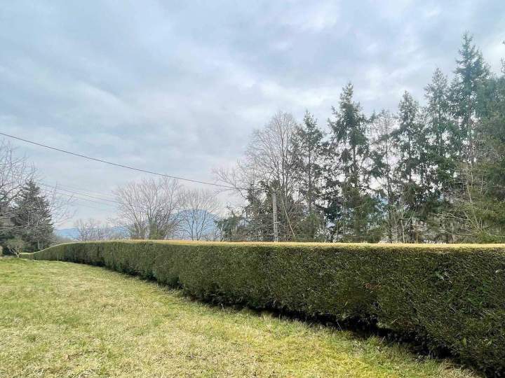 Paysagistes spécialisés dans les travaux d'élagage à Munster